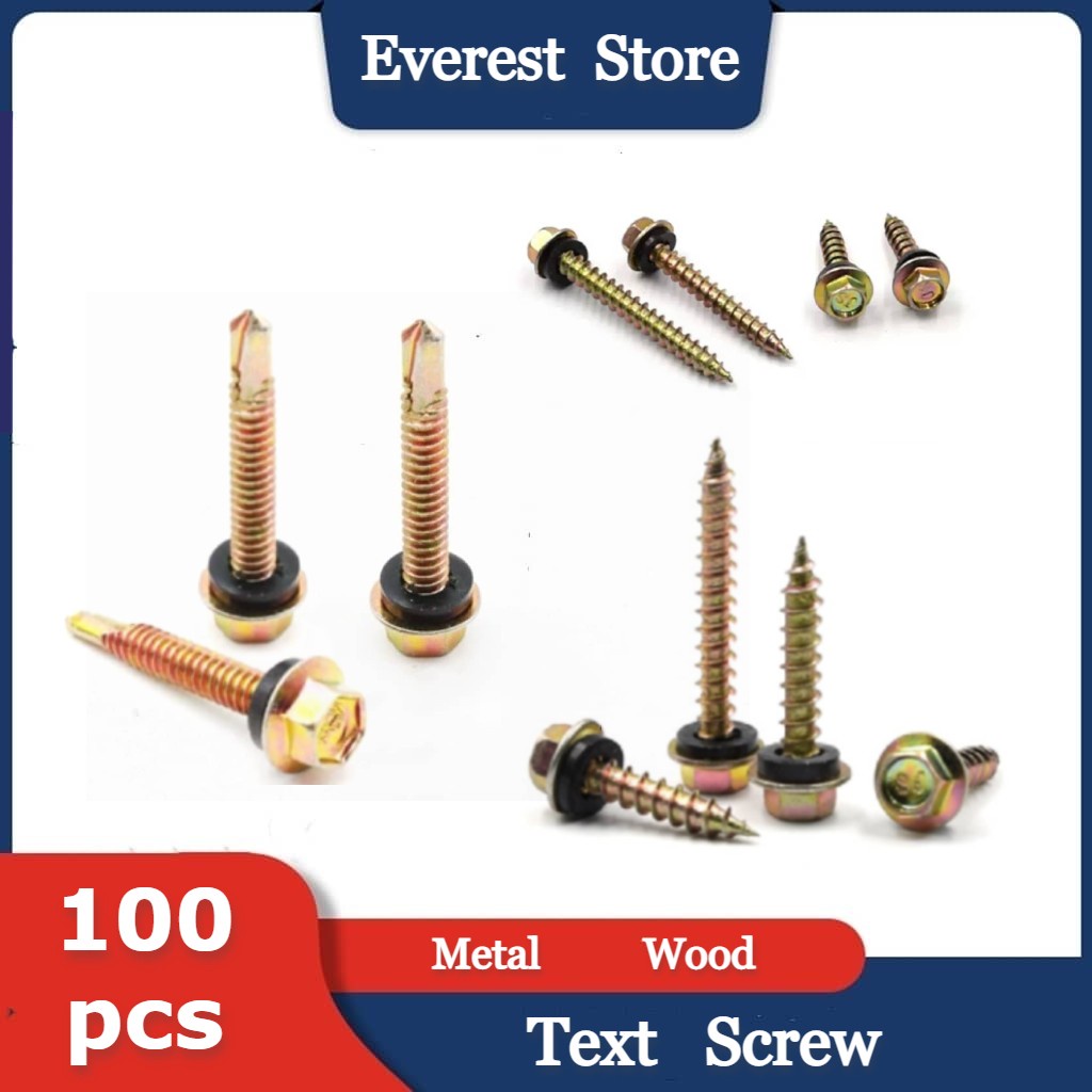 Text Screw for Metal Steel and Wood (100 pcs) Shopee Philippines