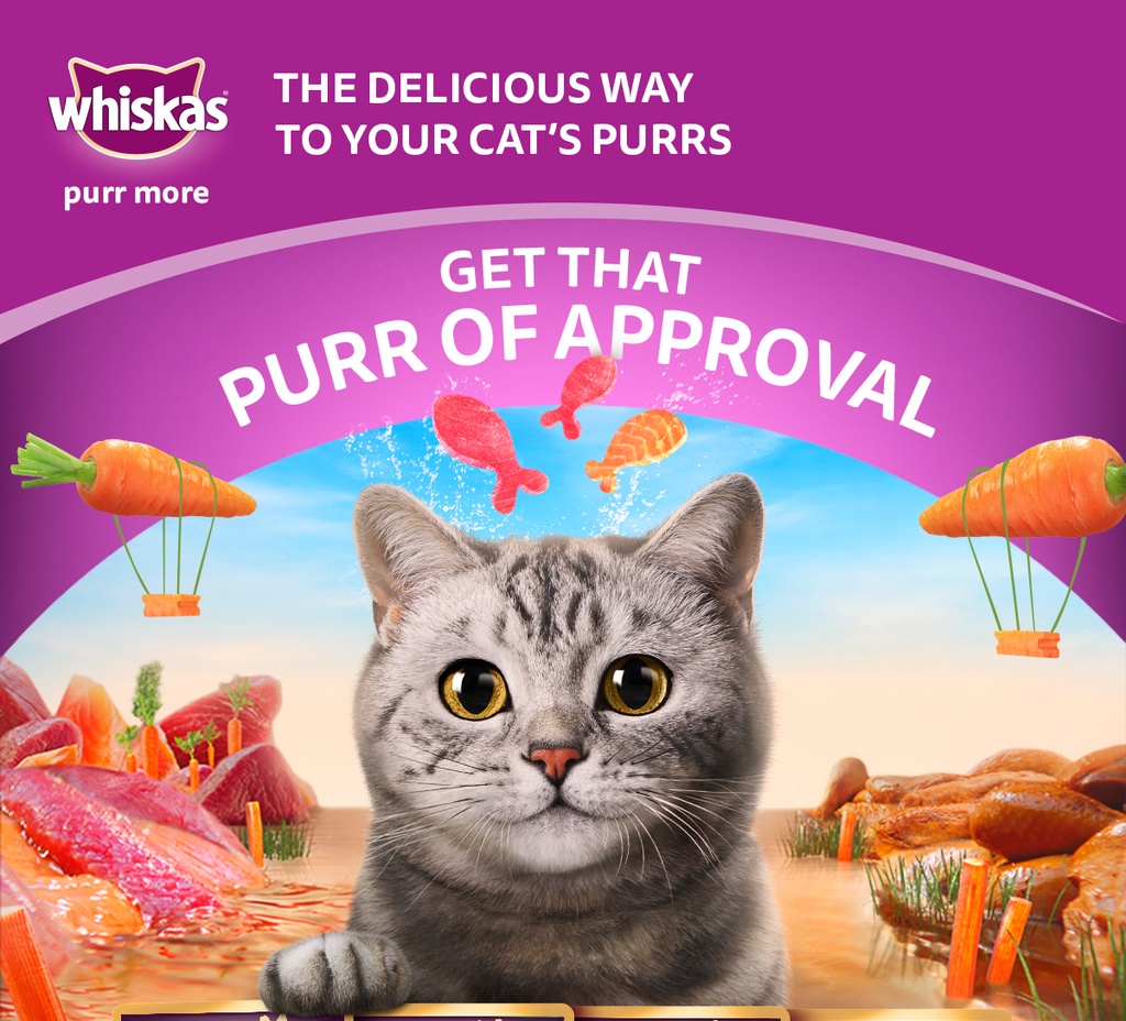 WHISKAS Tasty Mix Cat Food Wet Chicken Tuna Carrot in gravy 70 gr 3 Pouch Shopee Philippines