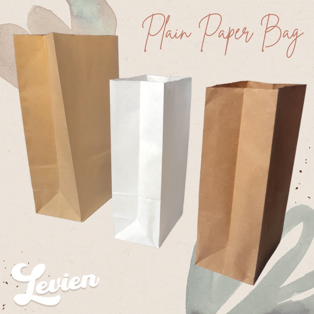 10 pcs Plain Handbag Gift Packaging Loot Bag in White and Brown Kraft Paper Bags Shopee