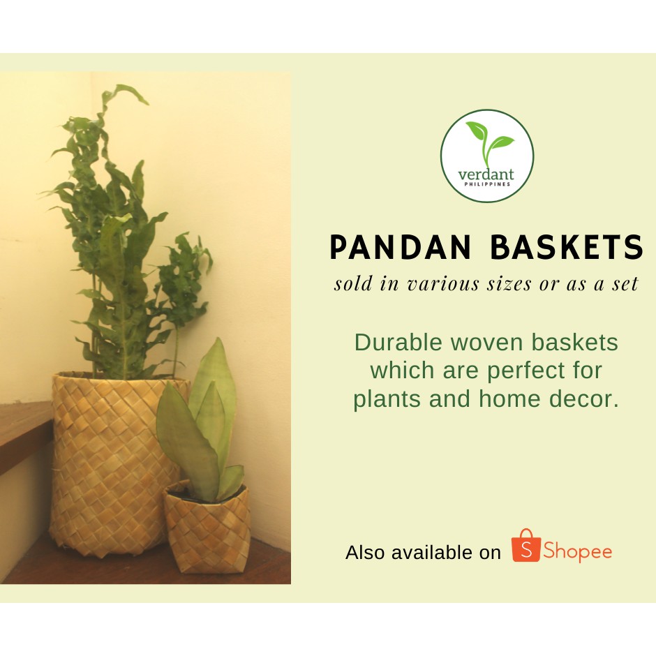 Round Native Pandan Baskets / Planters (Verdant Philippines) Shopee