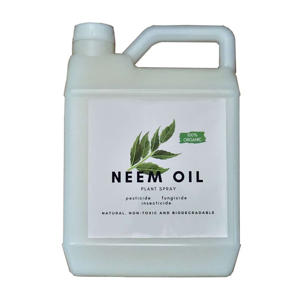 EFFECTIVE! Neem Oil 1 liter (Plant Polish / Plant Cleaner / Pesticide