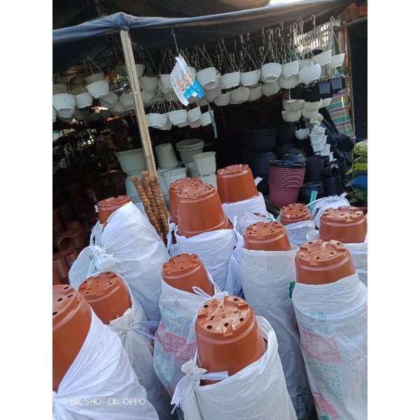 hanging pots wall pot flower pot Shopee Philippines