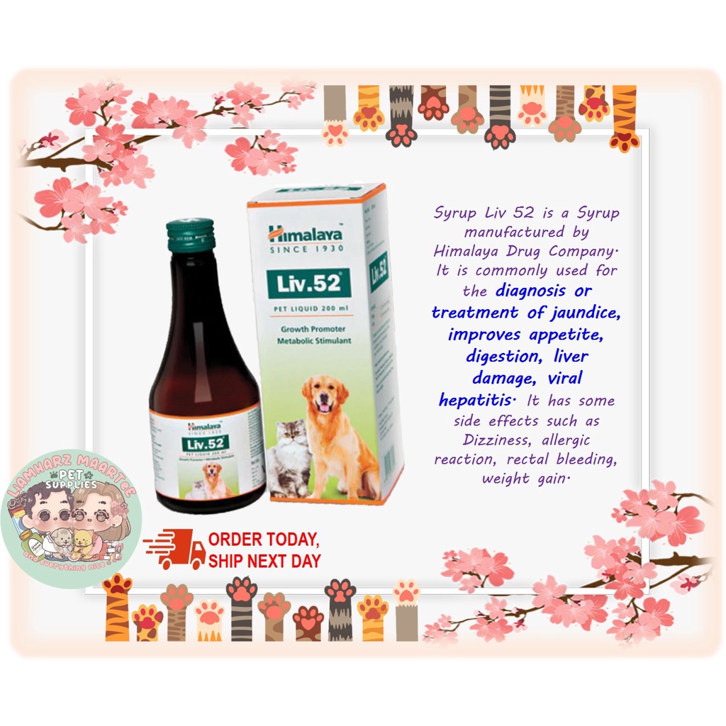 HIMALAYA LIV.52 SYRUP 200mL Shopee Philippines