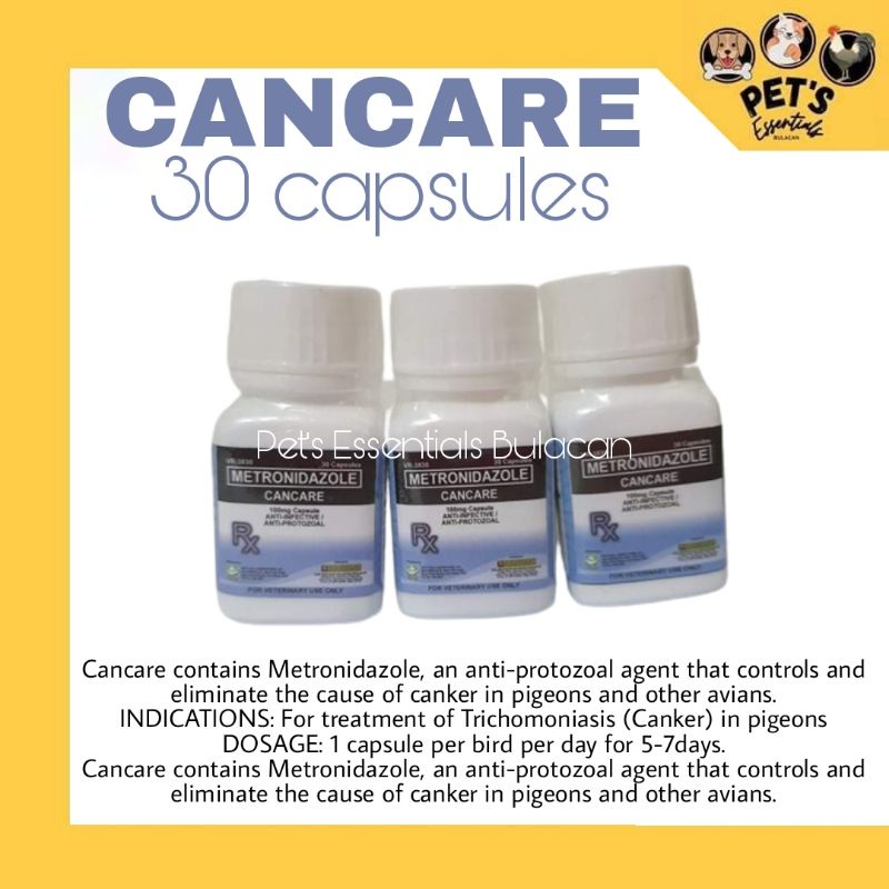 Rockdove Cancare for Pigeons 30 capsules Shopee Philippines