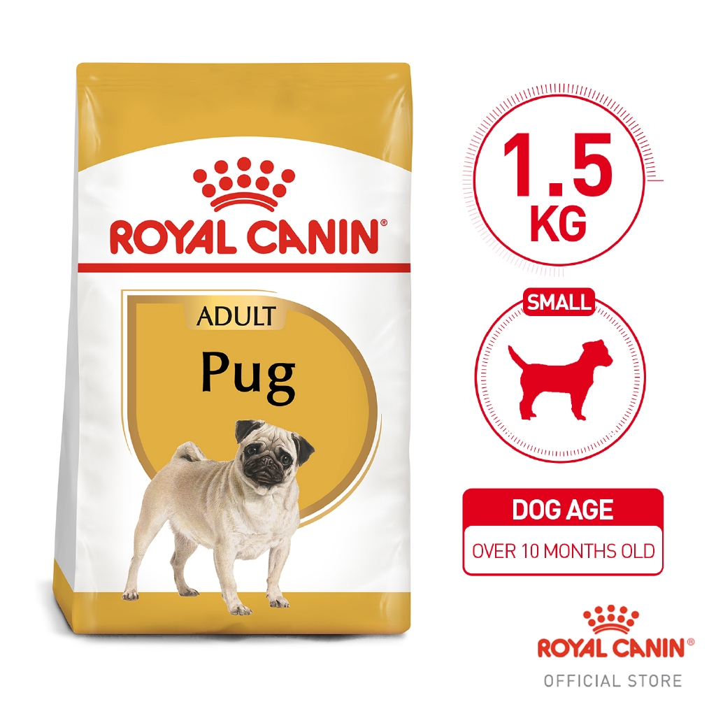pugs Best Prices and Online Promos Dec 2022 Shopee Philippines