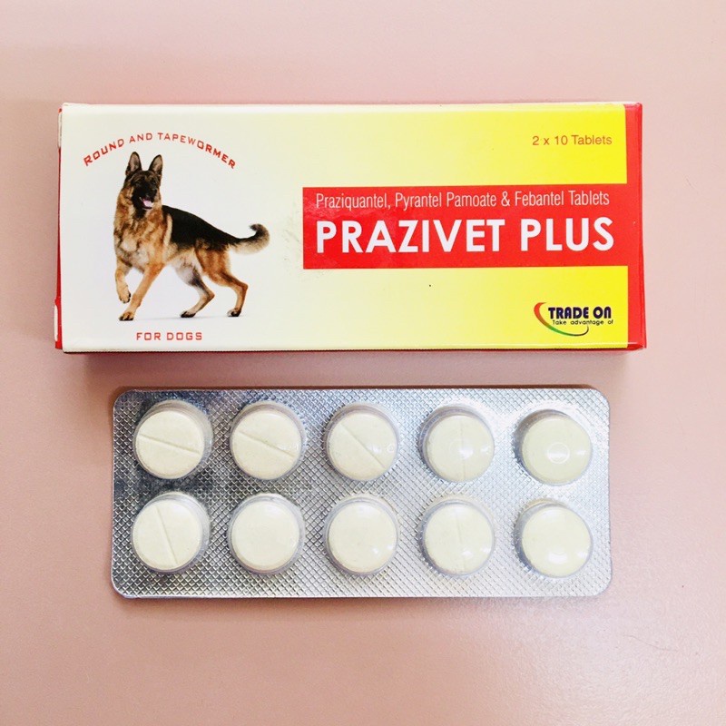 Dog Deworm Tablet Prazivet Plus For Roundworm Tapeworm (Ubat Cacing