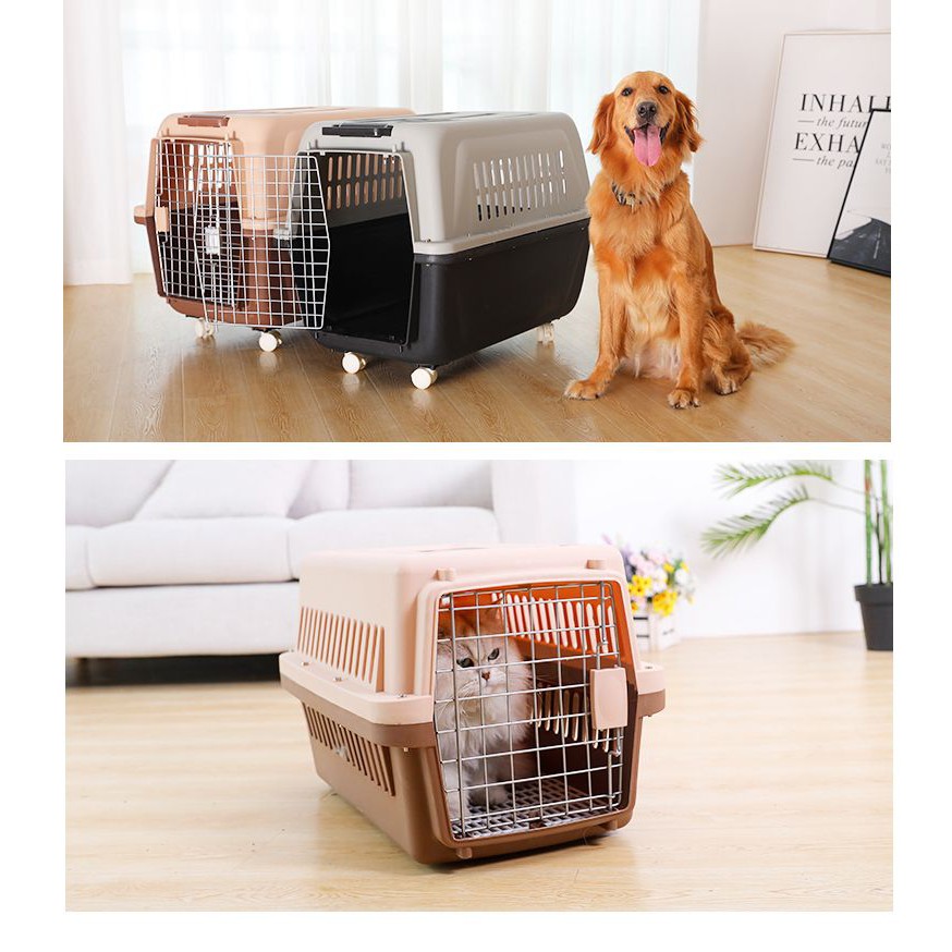 Pet Travel Cage Pet Carrier Dog Cat Crates Airline Approved Shopee