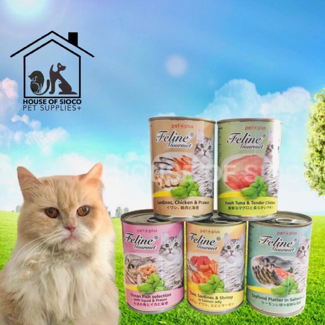 Pet Plus Feline Gourmet Wet Cat Food 400g Shopee Philippines