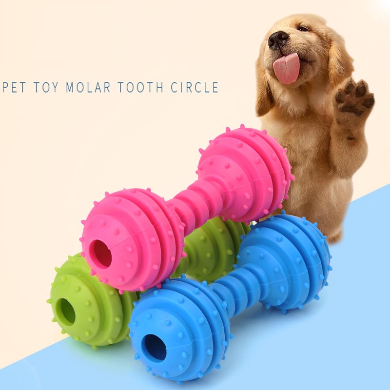 Pet TPR toy dog chew bone toy barbell molar stick sounding toy Shopee