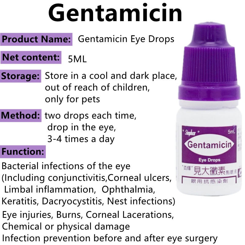 5ml pet eye drops gentamicin eye drops antiinflammatory sterilization