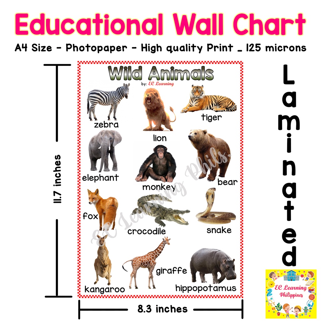 Printable A4 Size Wild Animals Chart - Free Printable Worksheet