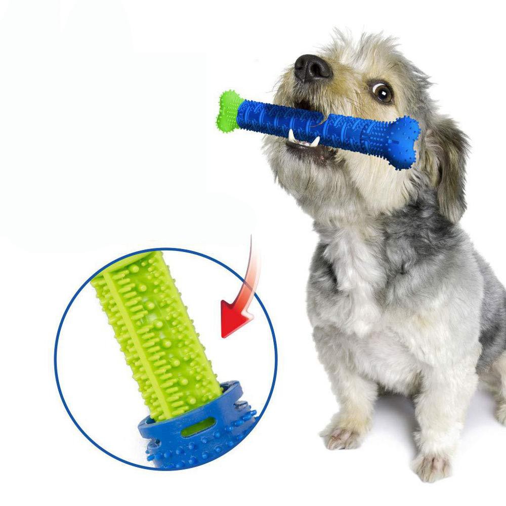 Chew Toys For Dogs With Bad Teeth Wow Blog