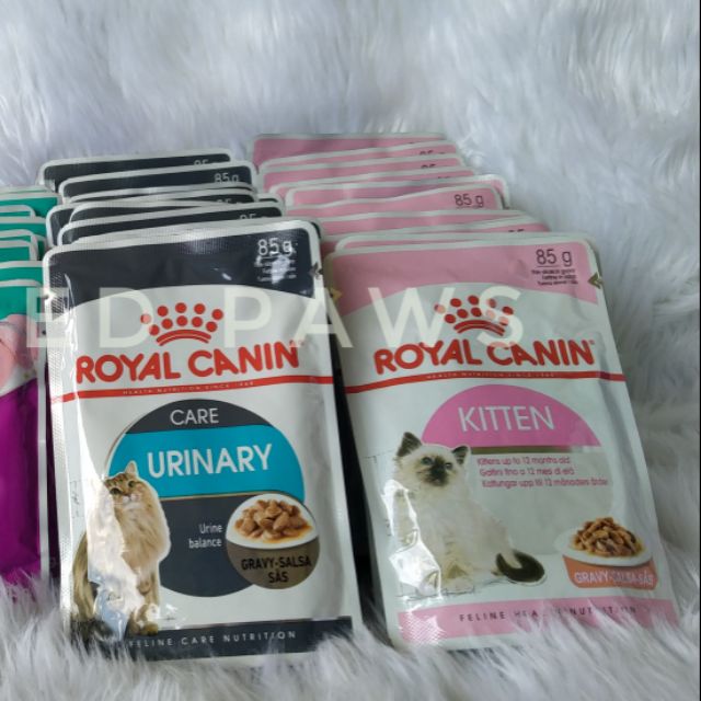 Royal Canin Wet food Kitten/Urinary / beauty Per pouch wet cat food 85