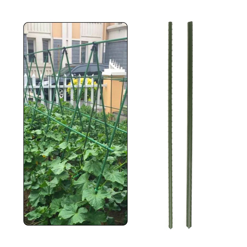 60cm Garden Plant Support Stakes Climbing Stand Flower Stick Cane