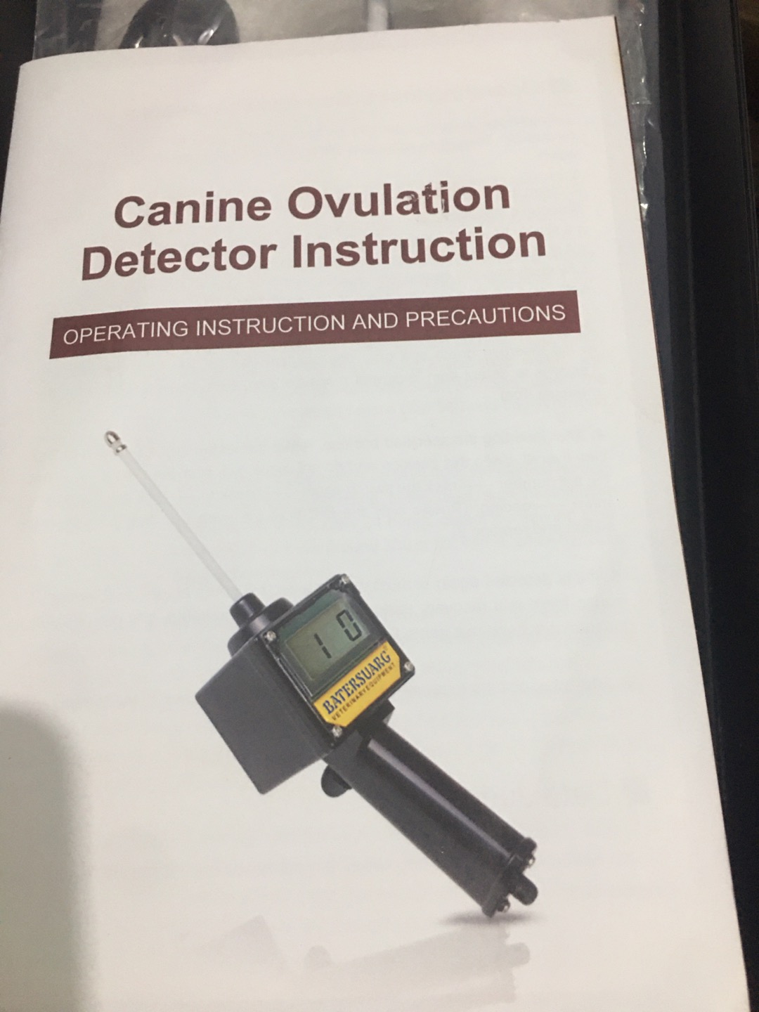 How Many Times Does A Dog Ovulate