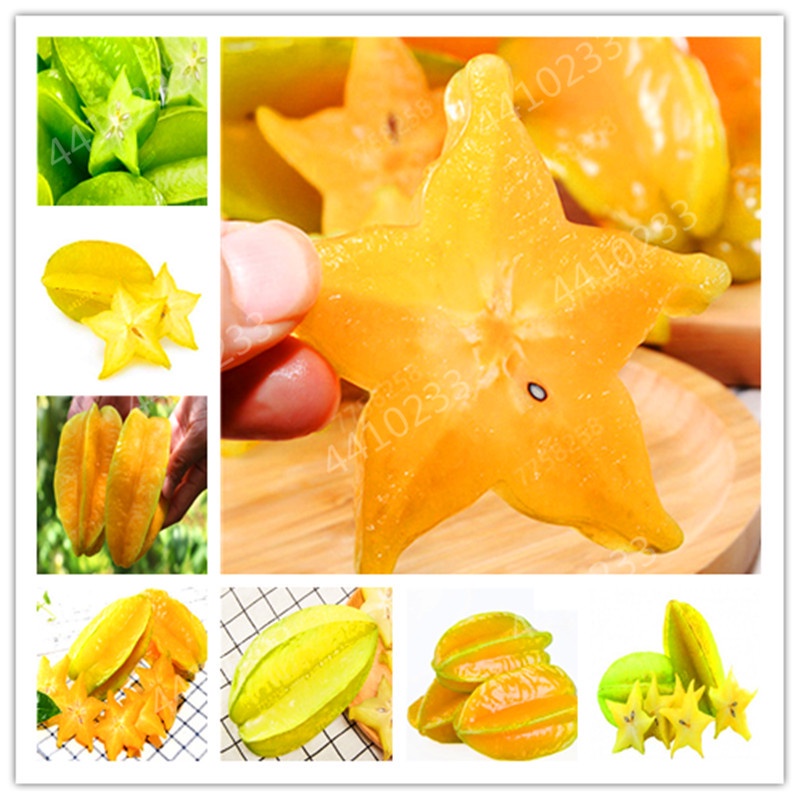 30 pcs Edible Carambola Bonsai Star Fruit Rare Sementes Averrhoa