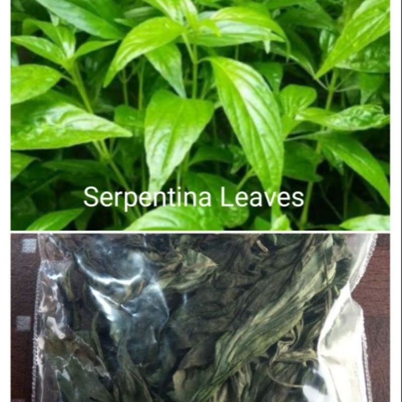 Serpentina Dried Leaves Shopee Philippines