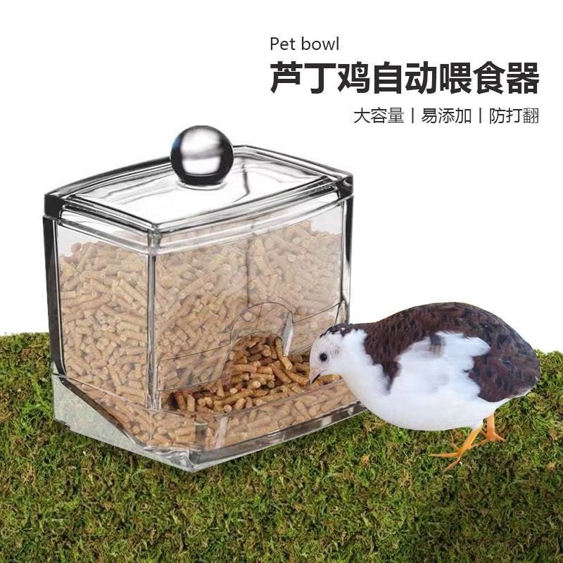 Acrylic automatic pet feeder rutin chicken quail chick food bowl mini