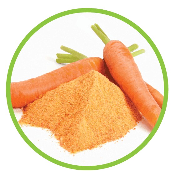 Carrot Powder Shopee Philippines
