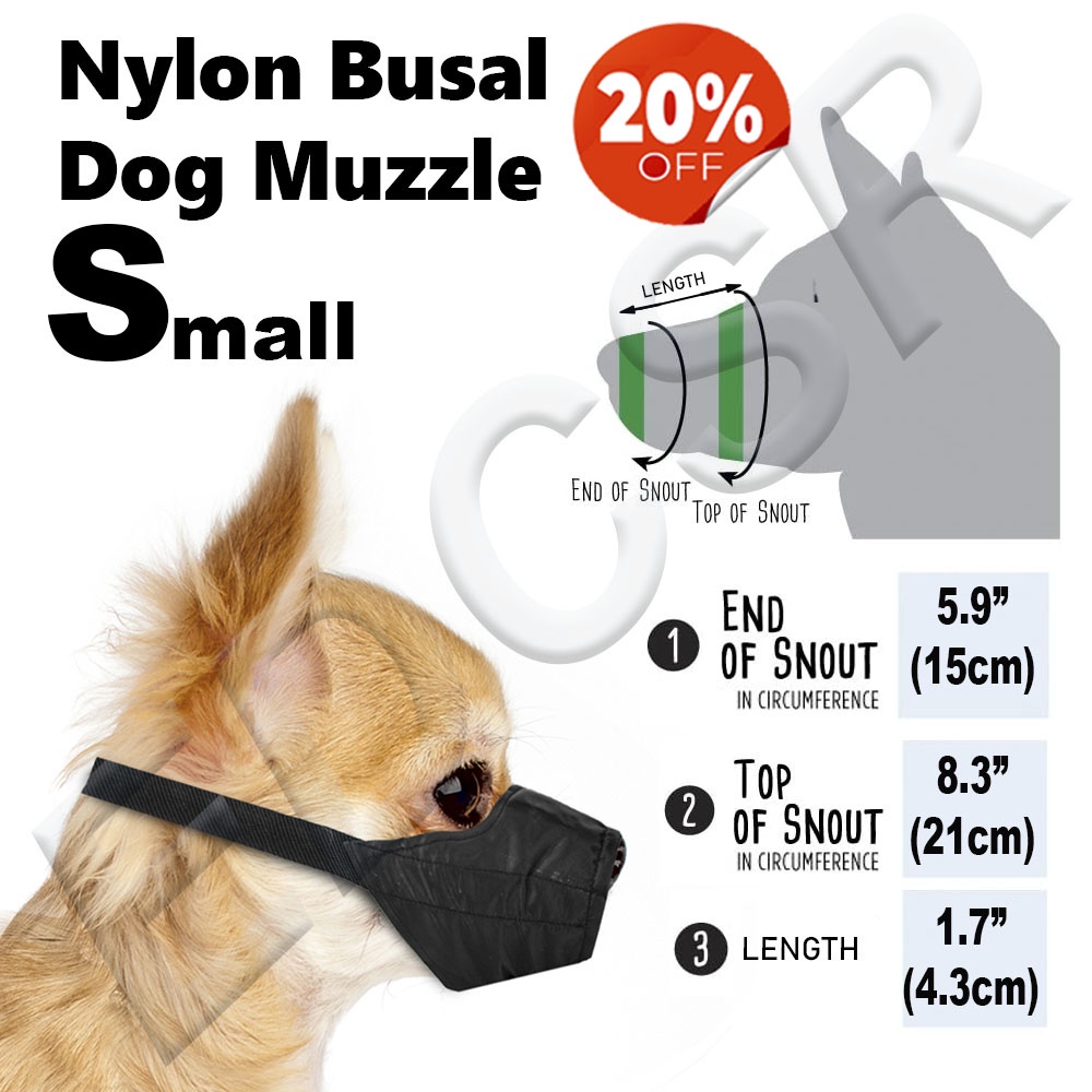 Do Dog Groomers Get Bitten