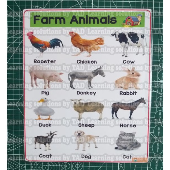 FARM ANIMALS LAMINATED CHART Shopee Philippines