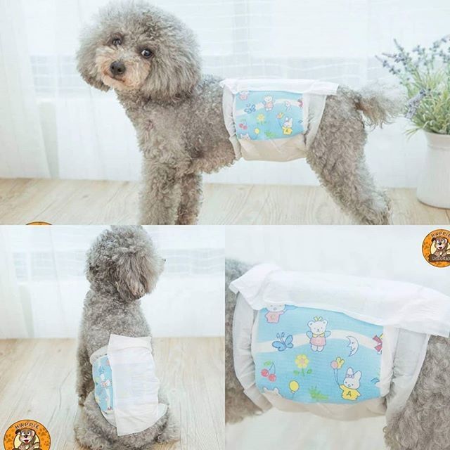 Hipidog Disposable Belly Band Pet Dog Cat Male Wrap Diaper Shopee
