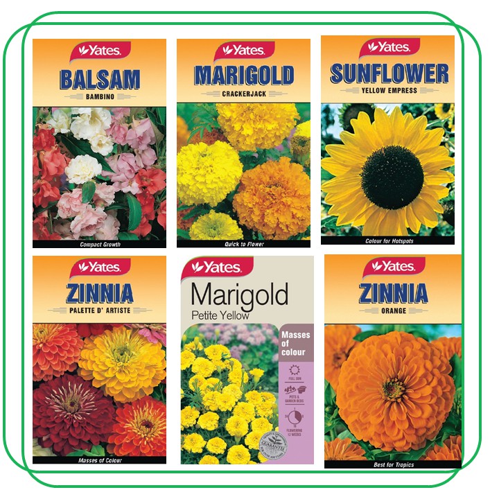 Flowers In The Philippines With Names is rated the best in 09/2024