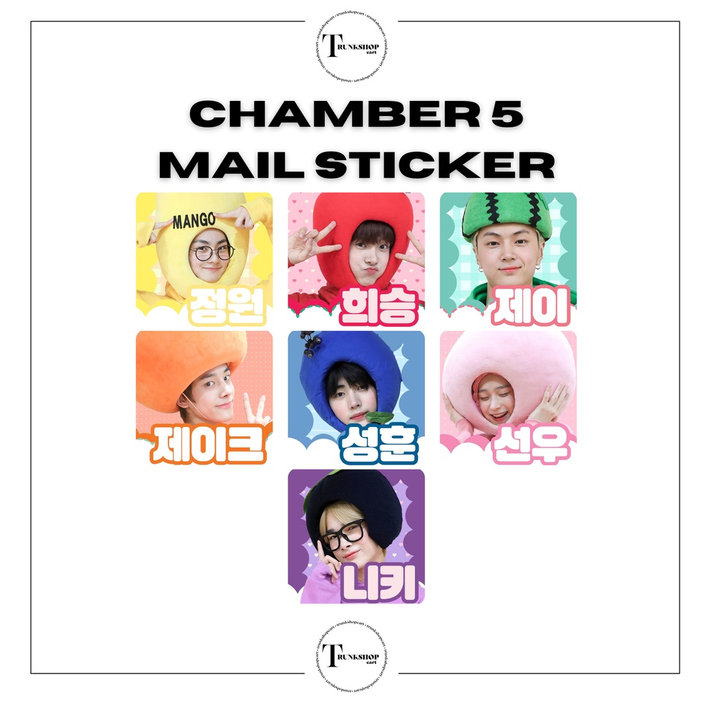 20pcs ENHYPEN MAIL STICKER KPOP MAIL PACKAGING STICKER Shopee