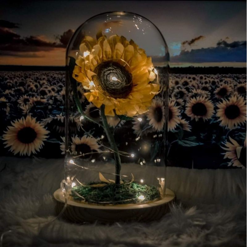 ENCHANTED SUNFLOWER Beauty and the Beast (SMALL) Valentine's Day Mother