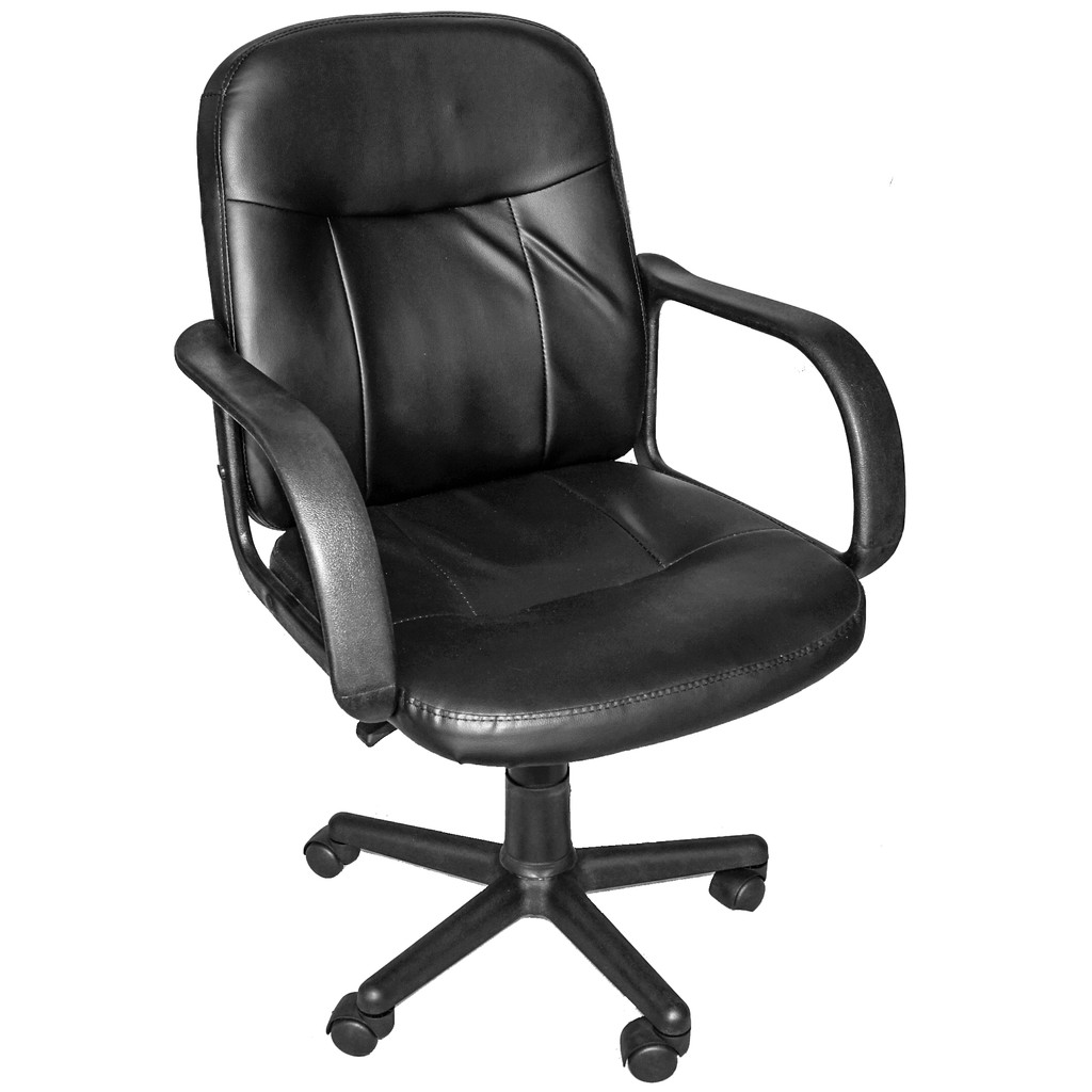 Low Back Leather Office Chair Odditieszone
