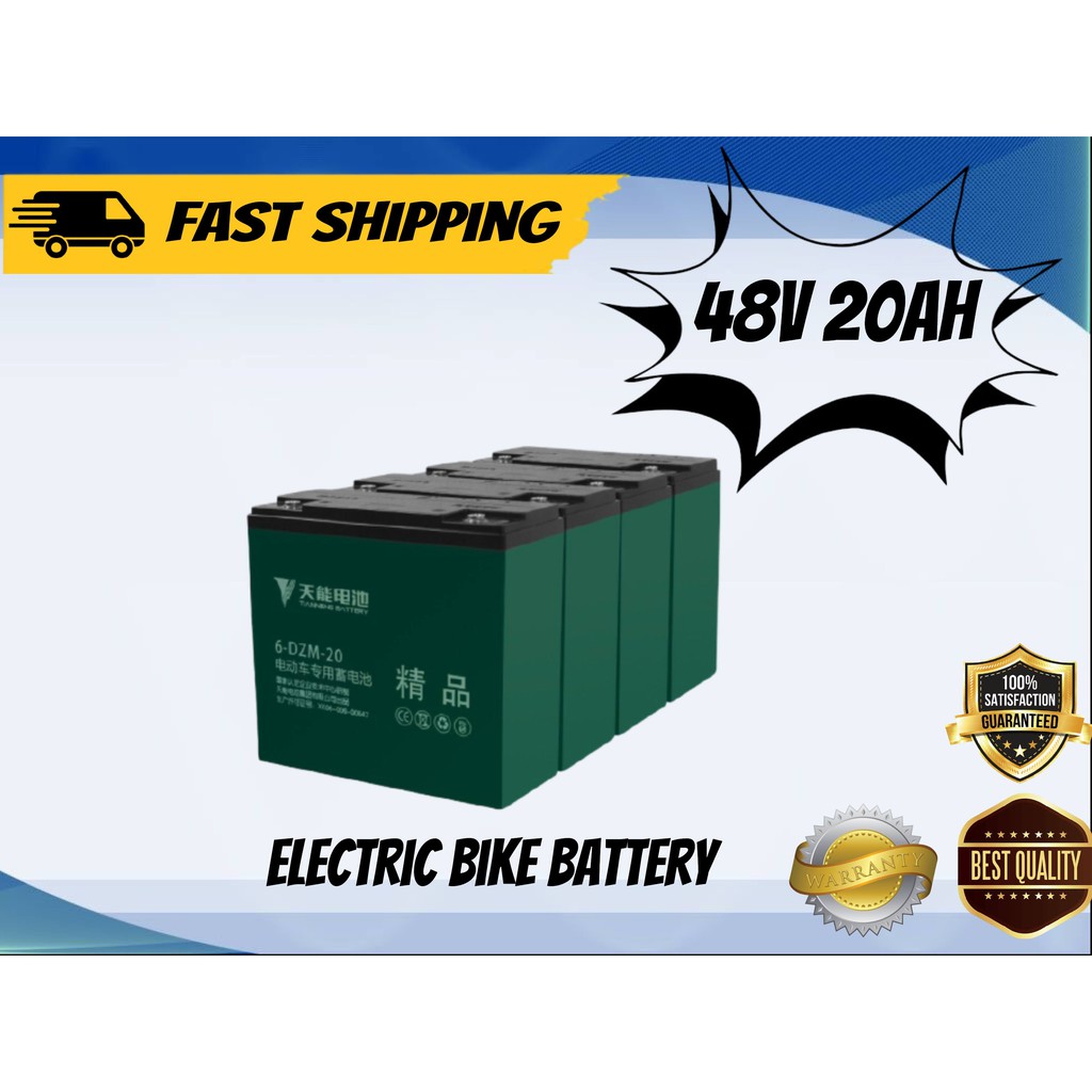 Ebike Battery 48v 20ah DZF Tianneng Brand SET, Applicable for Romai