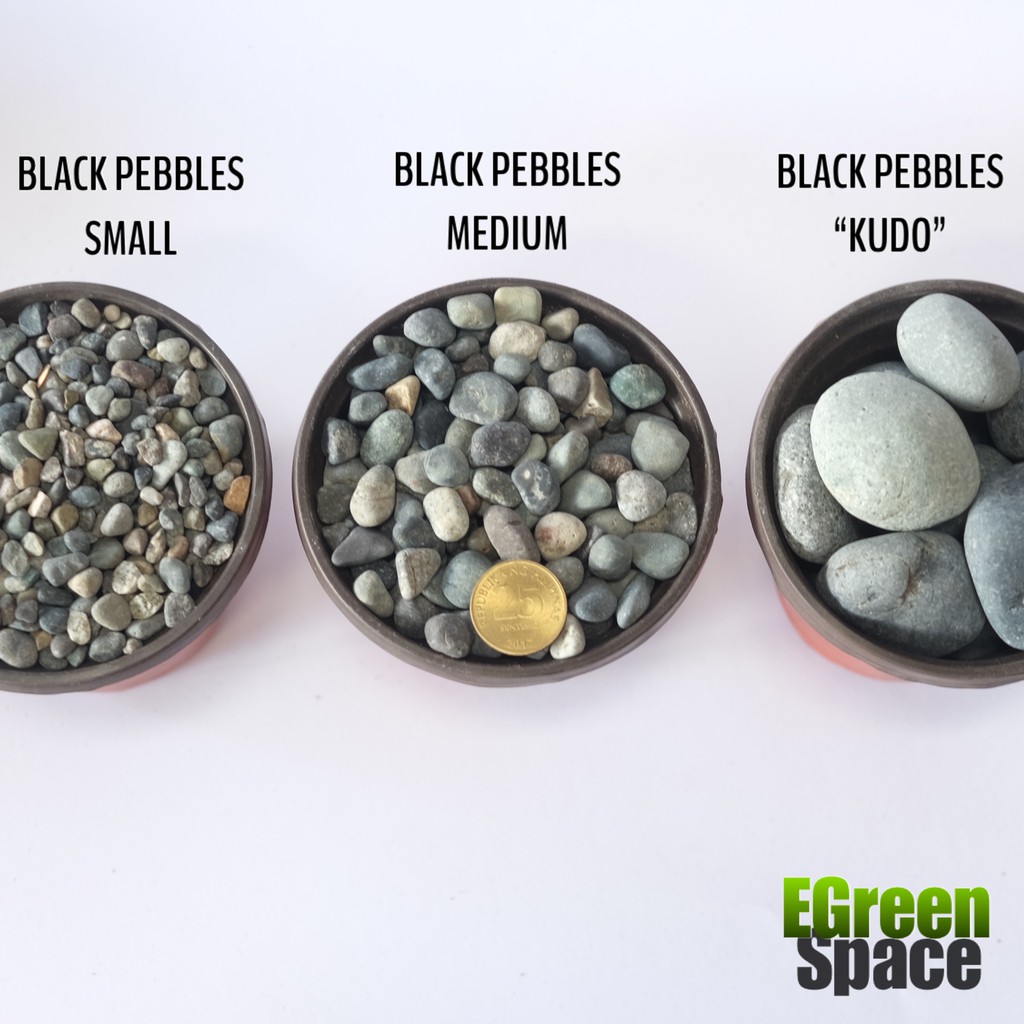 BLACK RIVER PEBBLES STONE 1 KILO Shopee Philippines