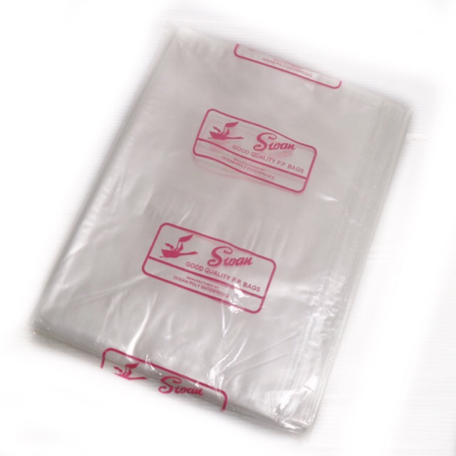 100 pcs Plastic Transparent Packaging Non Adhesive 10 x 15 and 8 x 12