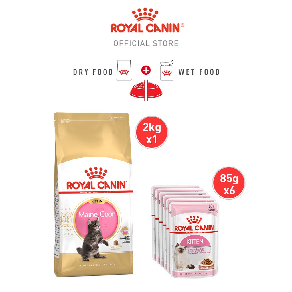 Royal Canin Maine Coon Kitten (2kg)Dry + Kitten (85g x 6 pouches)Wet