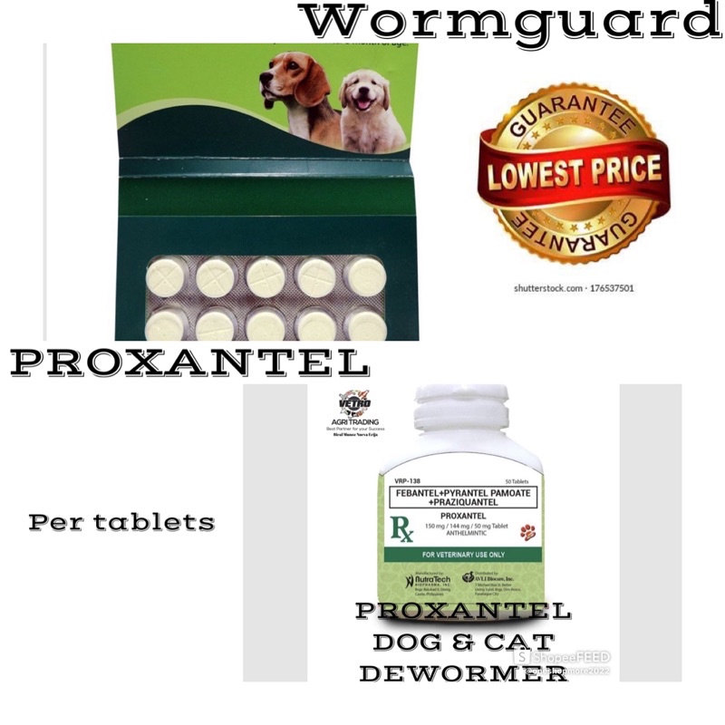 WORMGUARD SOLD PER TABLET DOG DEWORMER Shopee Philippines