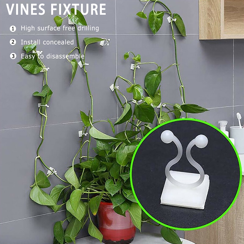 Invisible Wall Rattan Clamp Clip Invisible Wall Vine Climbing Sticky