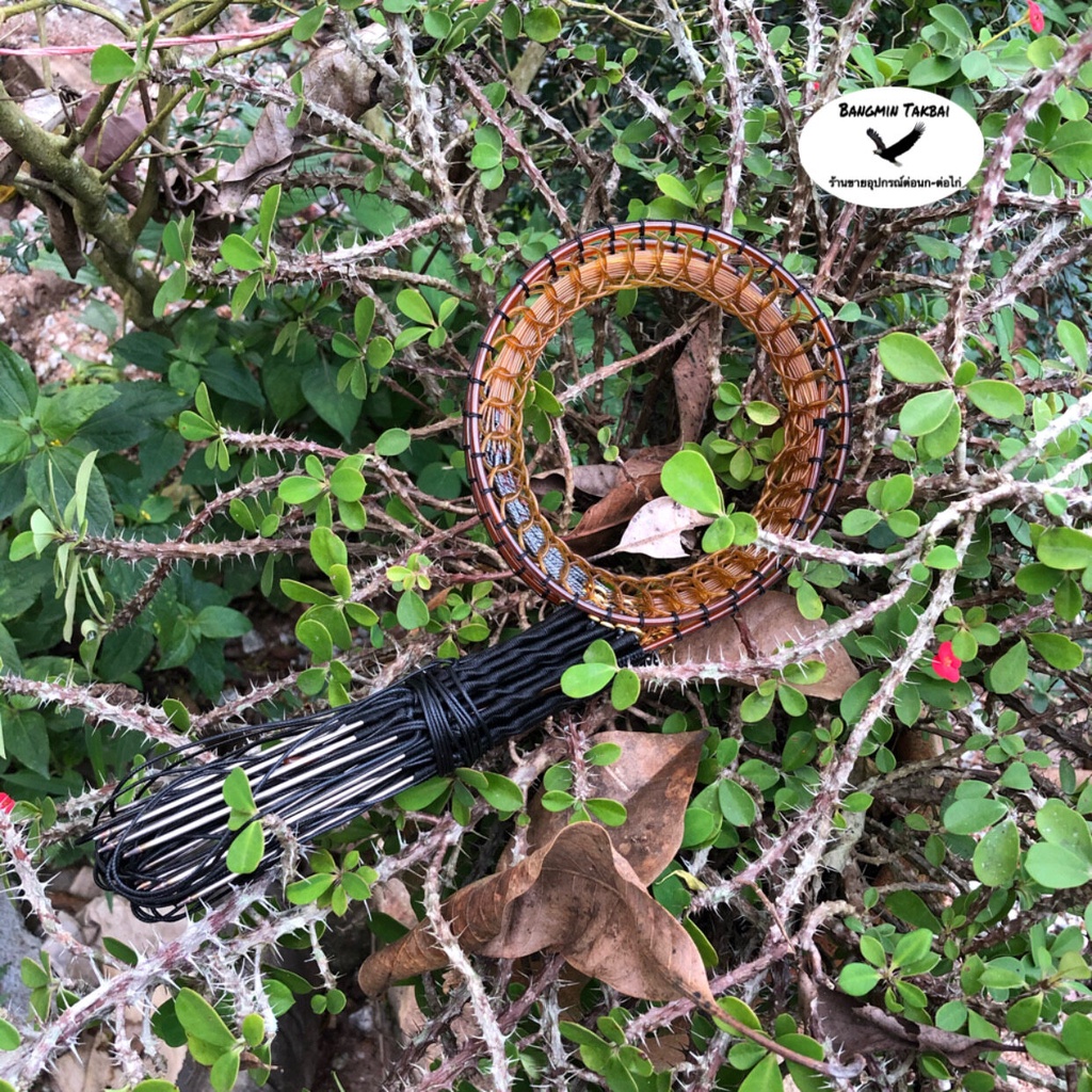 Forest chicken trap Real stainless steel does not rust, 30 digits