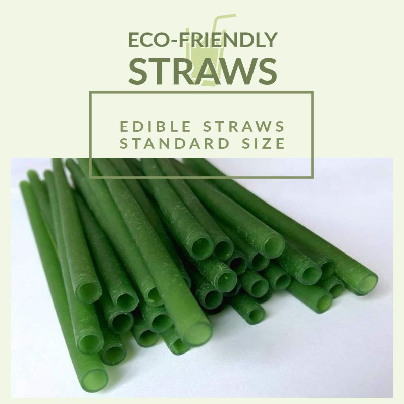 100 Natural Edible Rice Straws, Standard (Unwrapped and Individually