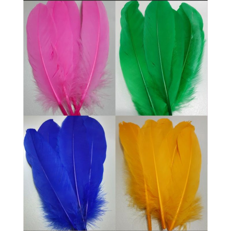 Colored Costume Feathers (5pcs) Shopee Philippines