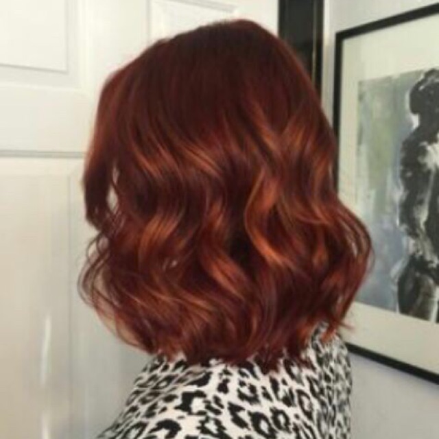 Bremod Permanent Hair Color 5.4 Dark Copper Shopee Philippines