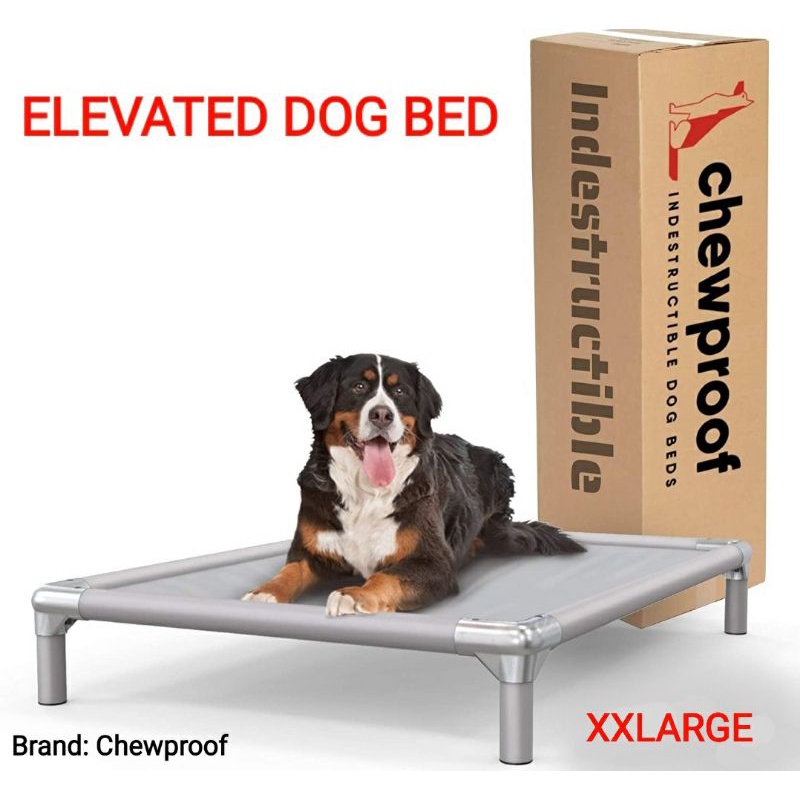 Is There An Indestructible Dog Bed