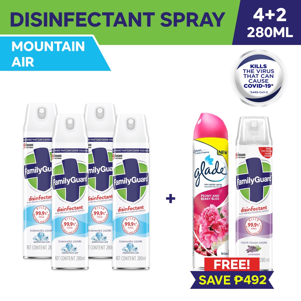 FamilyGuard Disinfectant Room & MultiSurface Spray Aerosol Mountain
