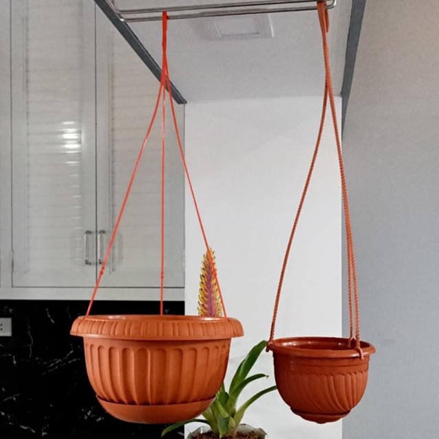 PLASTIC HANGING PLANTS (small) Shopee Philippines