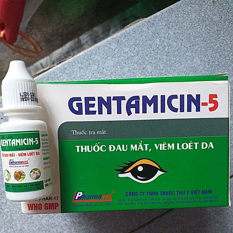 Eye Drops For Dogs And Cats Chickens, Pets Multiple Eyes, Corneal