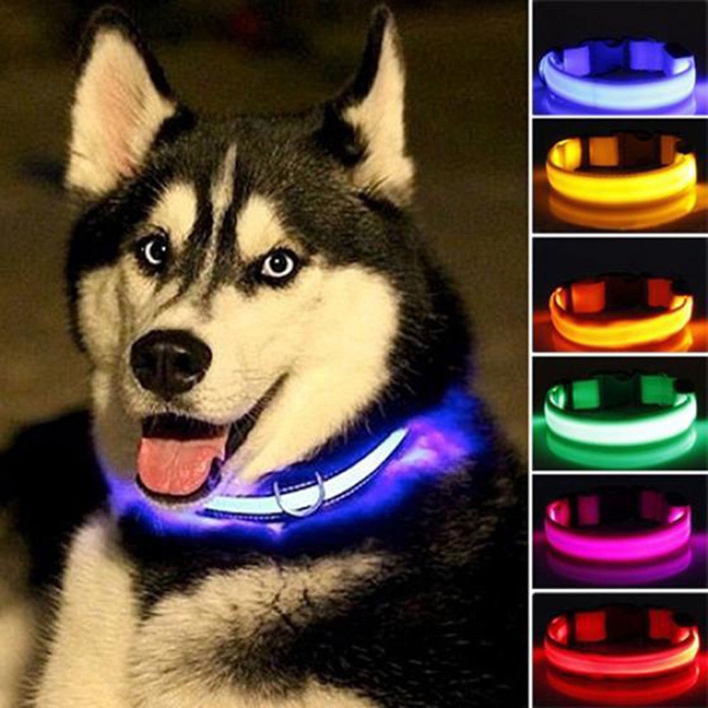 Nylon LED Pet ,Night Safety Flashing Glow In The Dark Dog Leash,Dogs