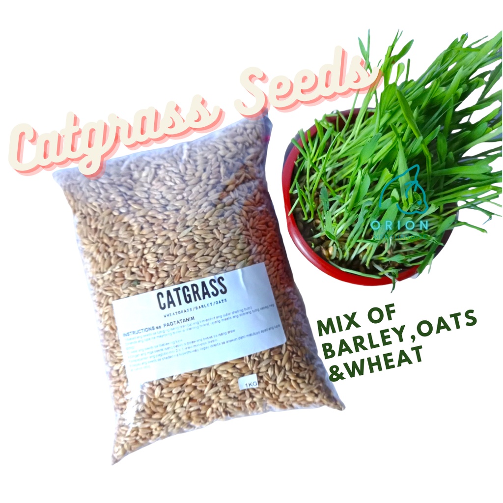 Are Oats And Barley Good For Dogs