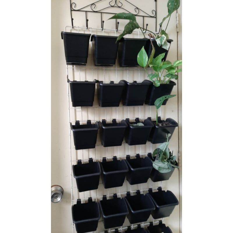 CM Vertical Hanging Pot 12 PCS Shopee Philippines
