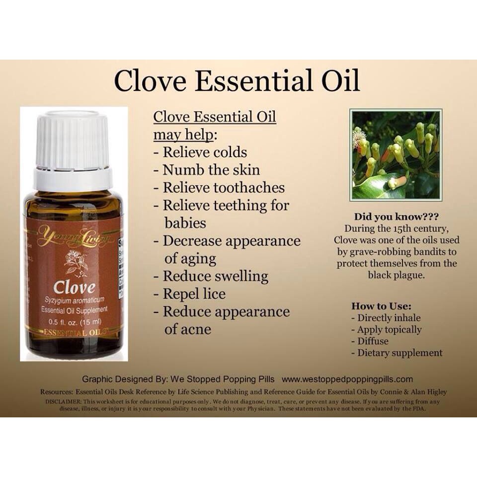 Young Living CLOVE Essential Oil 15ml ubicaciondepersonas.cdmx.gob.mx