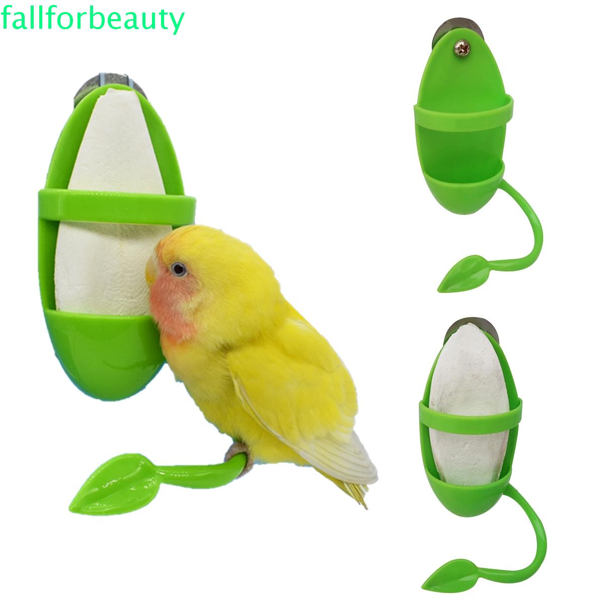 FALLFORBEAUTY Finches Parrot Feeder Macaws Food Container Fruit