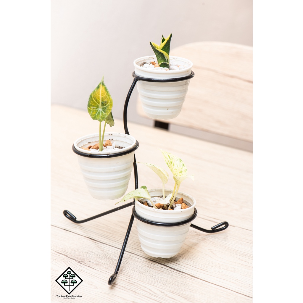 Spyra Mini Plant Holder Shopee Philippines